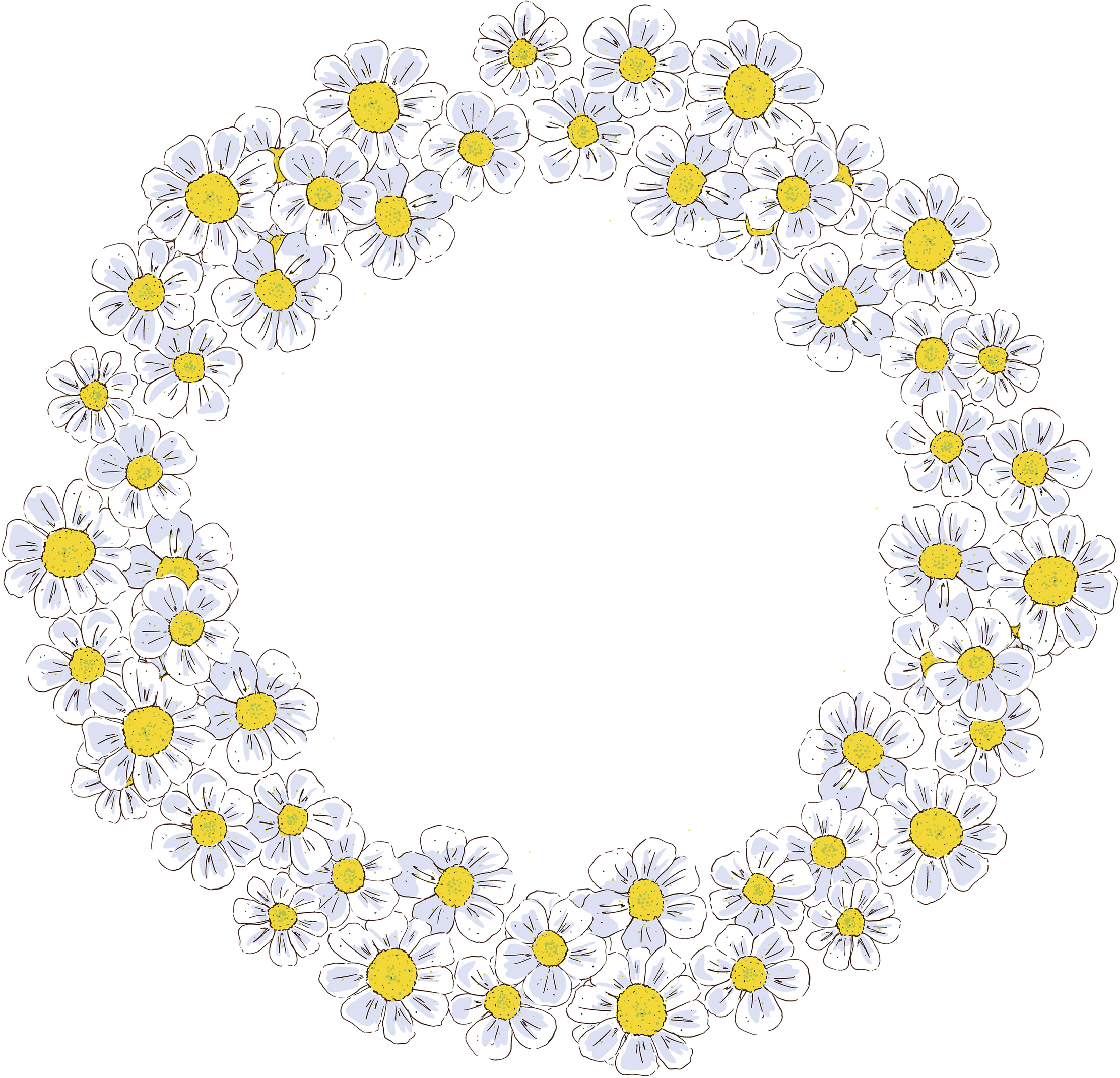 Flowers background, wreath of daisy